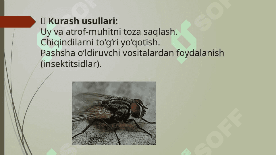 Sinantrop hasharotlarning epidemiologik ahamiyati 7