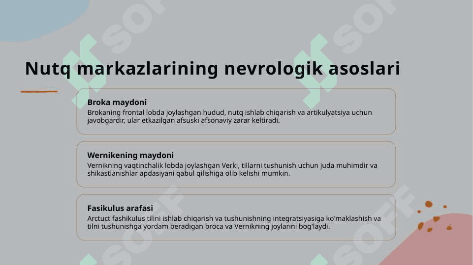 Nutq fiziologiya va nutq markazlari. 5