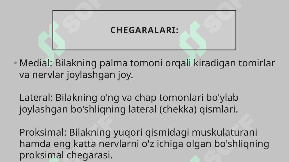 Bilak oldingi yuzasidagi Pirogov yog’ to’qima bo’shlig’i topografik anatomiyasi 4