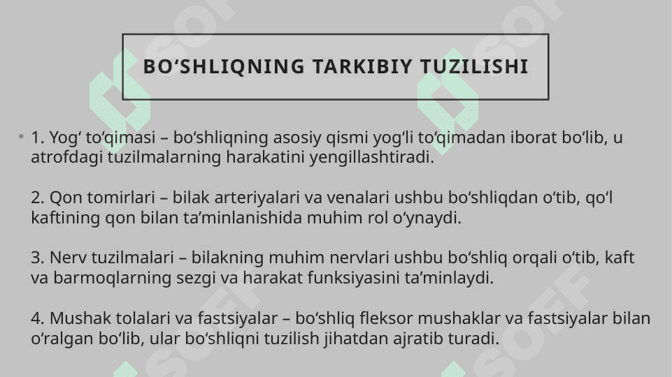 Bilak oldingi yuzasidagi Pirogov yog’ to’qima bo’shlig’i topografik anatomiyasi 7