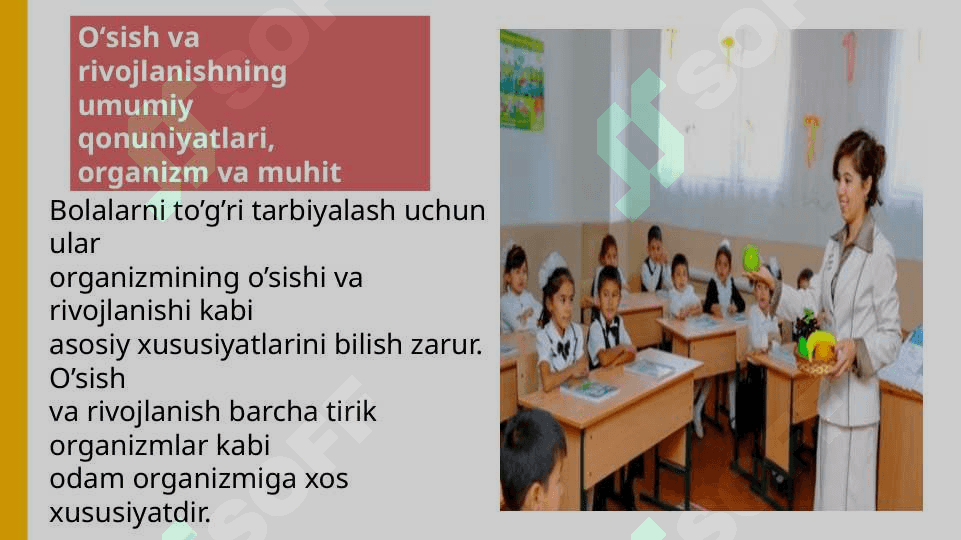 Boshlang’ich ta’lim pedagogikasining metodologiyasi 4