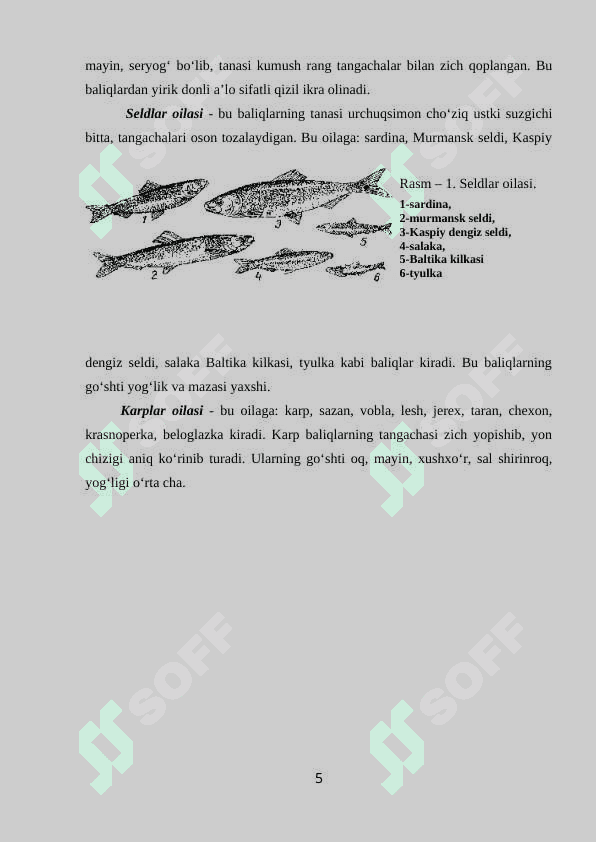 Baliqdan taomlar tayyorlashni o’rganish. 5