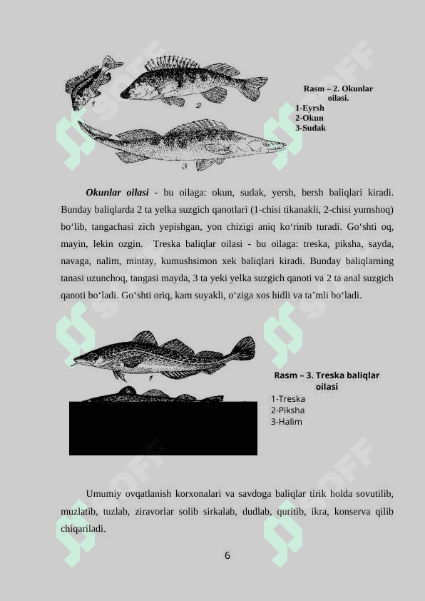 Baliqdan taomlar tayyorlashni o’rganish. 6