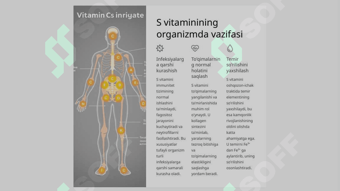 Organizmni S vitamini bilan ta’minlanganligi tekshirish va baholash 3