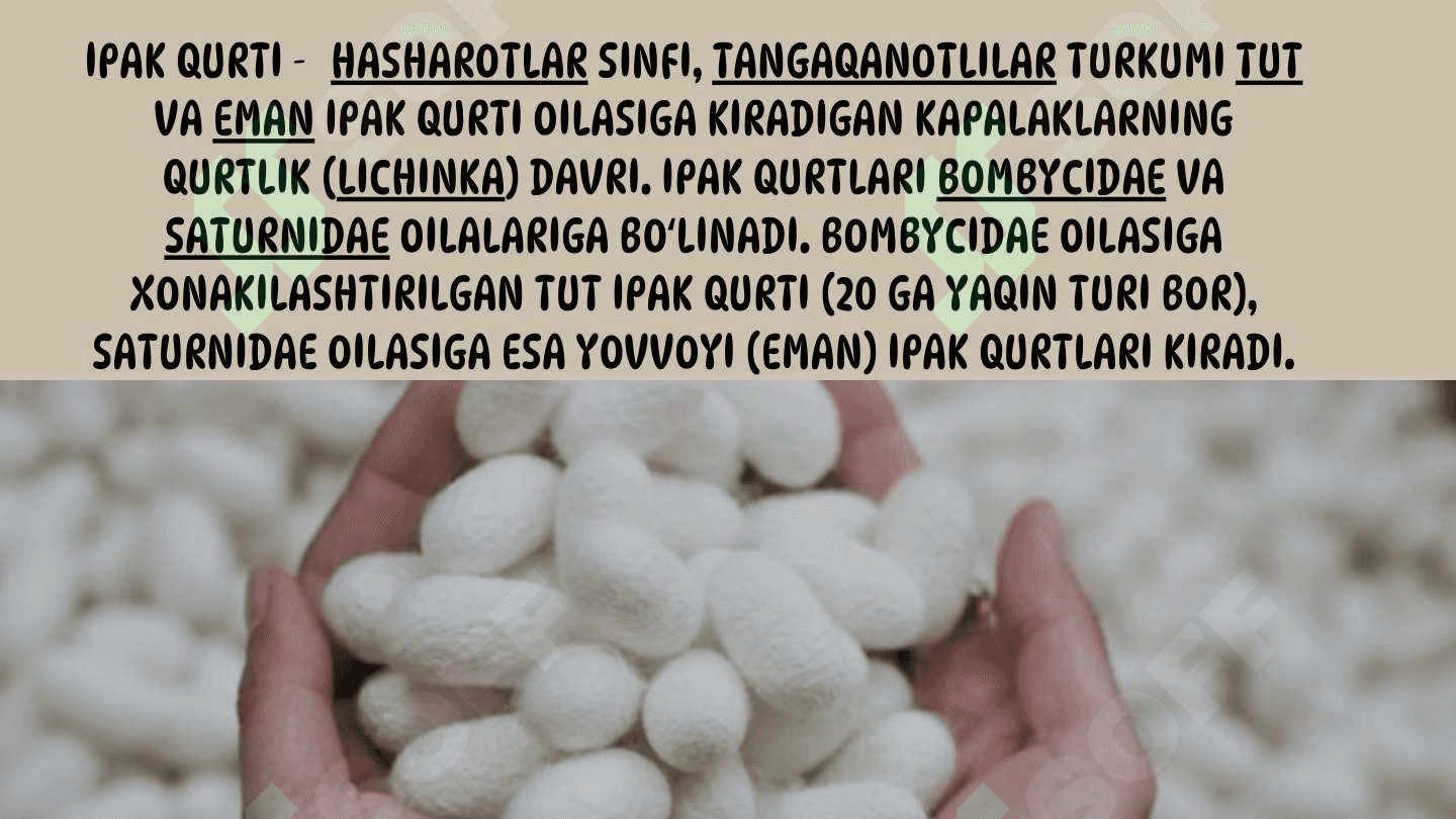 Xom ipakning sifatini belgilovchi standartlar 3