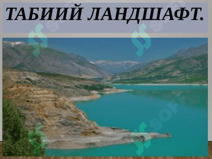 ЛАНДШАФТЛАРНИНГ ЭКОЛОГИК ФУНЦИЯСИ 4
