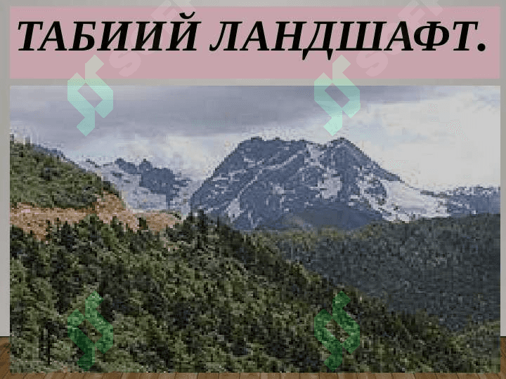 ЛАНДШАФТЛАРНИНГ ЭКОЛОГИК ФУНЦИЯСИ 5