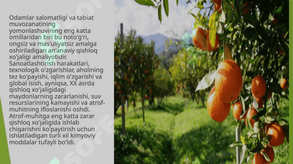 Tabiiy va sun’iy mahsulotlar 6