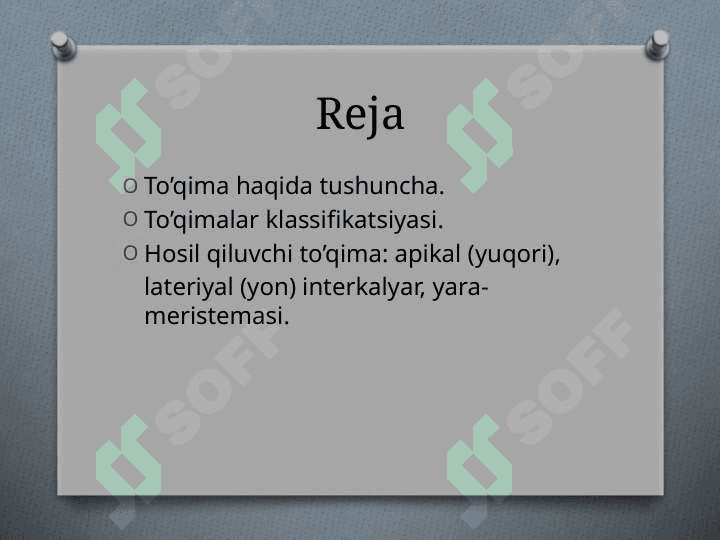 O’simliklar to’qimalari va ularning qishloq xo’jalikdagi ahamiyati 2