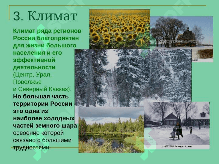 Культура и история России 5