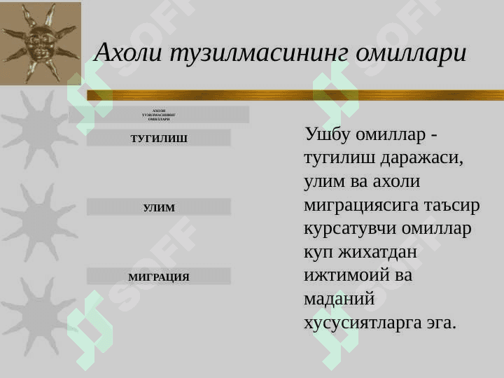 Аҳоли, саломатлик ва кексалик муаммолари 4