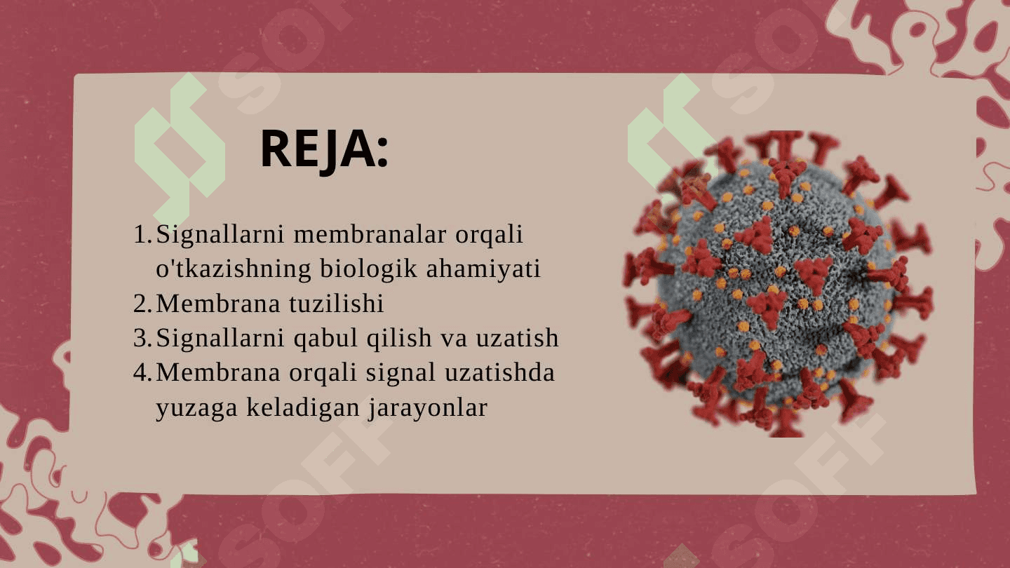 Signallarni membranalar orqali o‘tishi 2