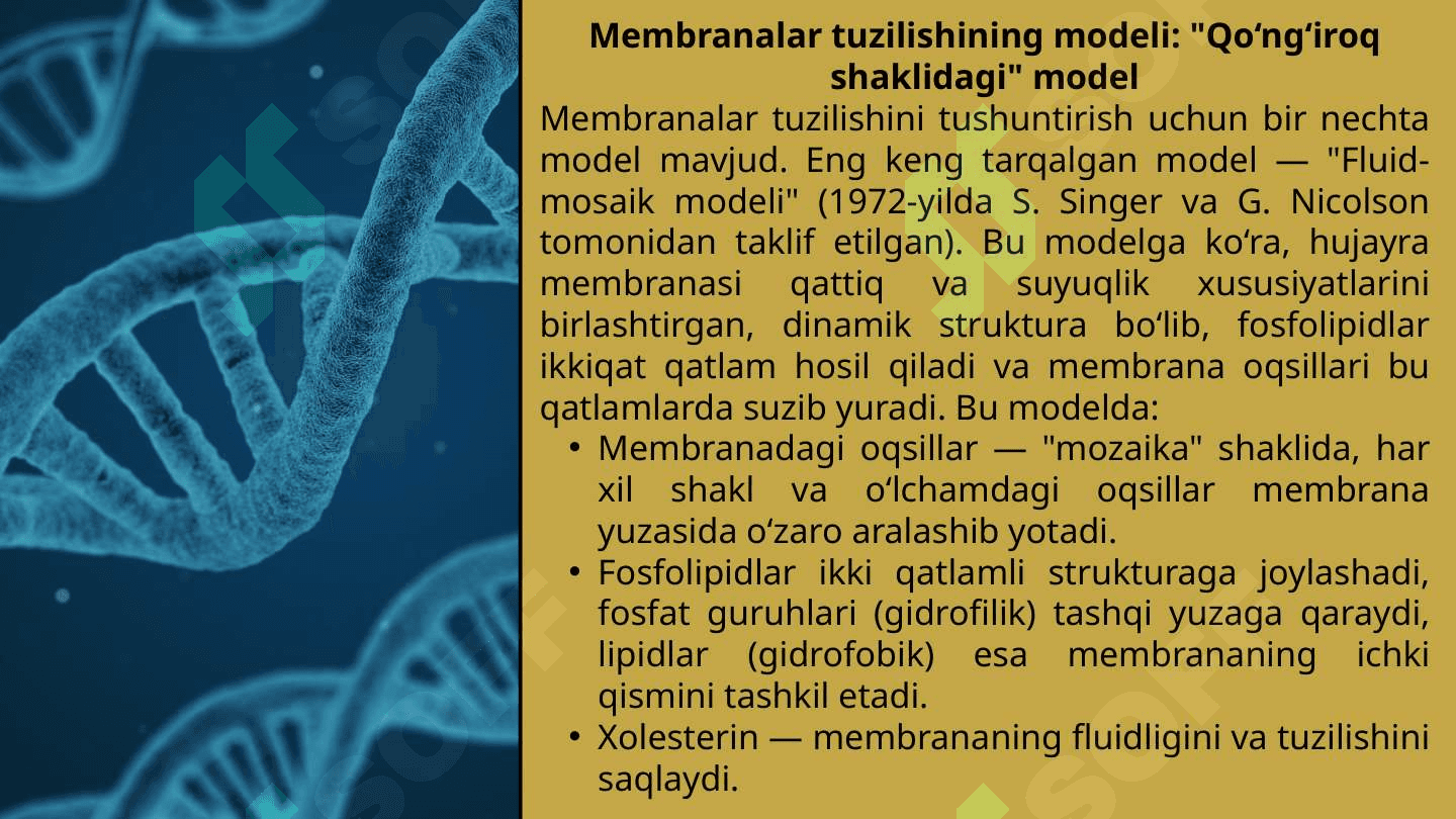 Signallarni membranalar orqali o‘tishi 8