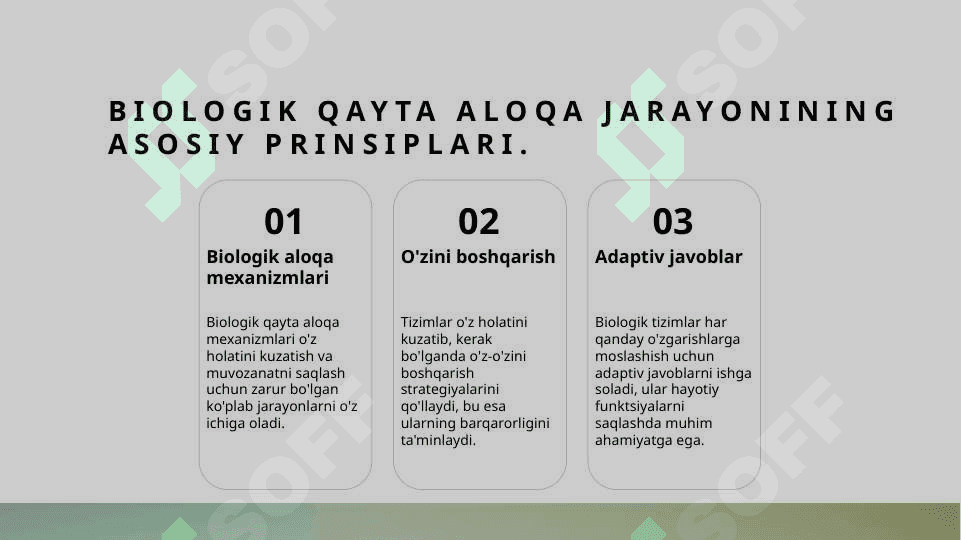 Biologik qayta aloqa 3