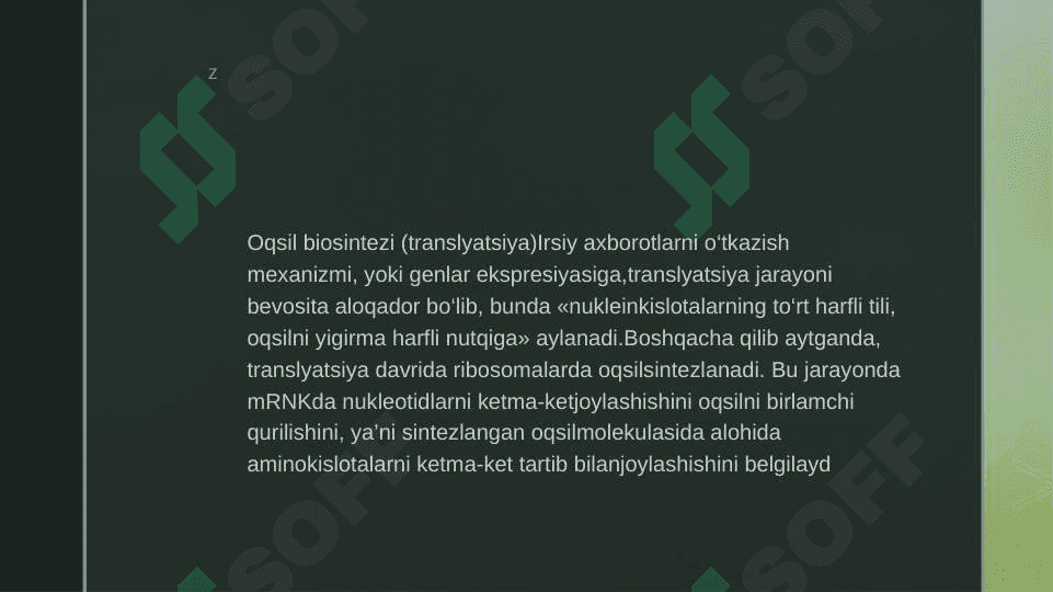 Translyatsiya 2