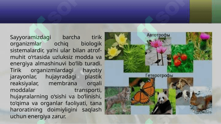 Organizmlarning oziqlanish usullari 2