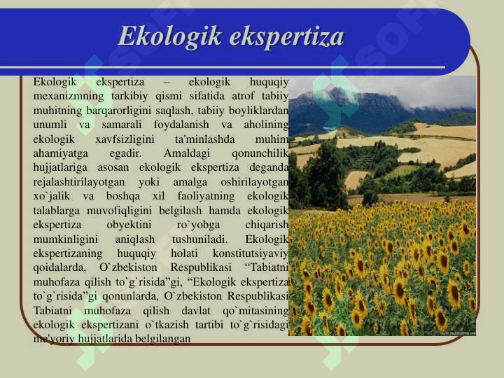 Ppt 3