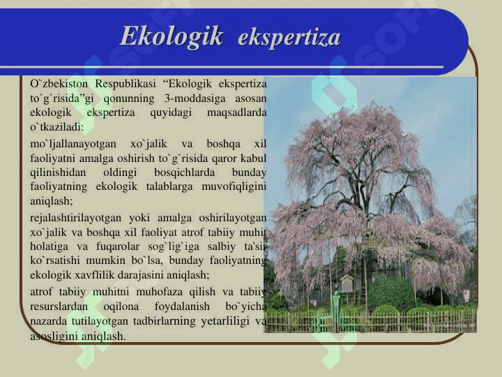 Ppt 4