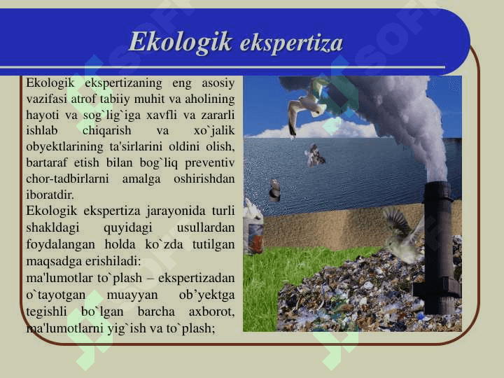 Ppt 5