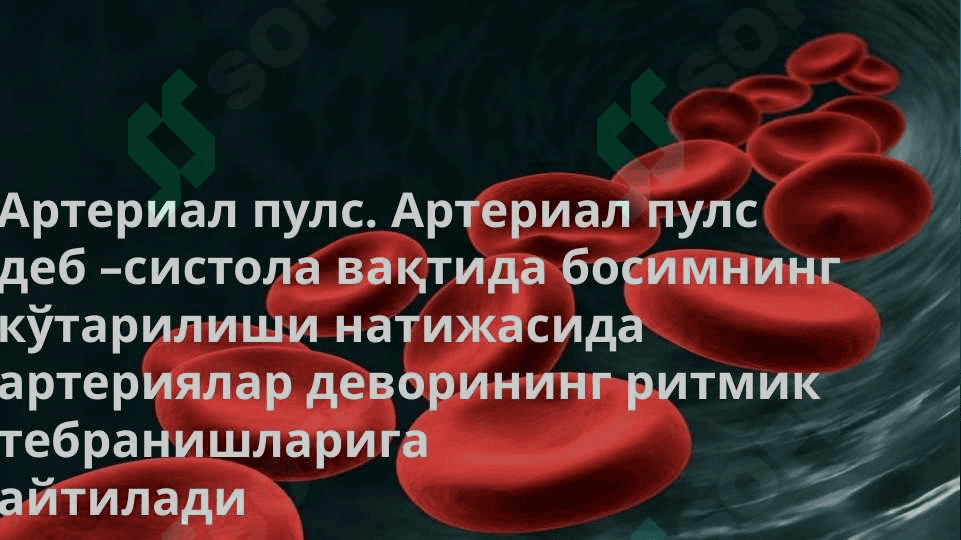 Артериал босим кўрсаткичини аниқлашда пулснинг ахамияти 3