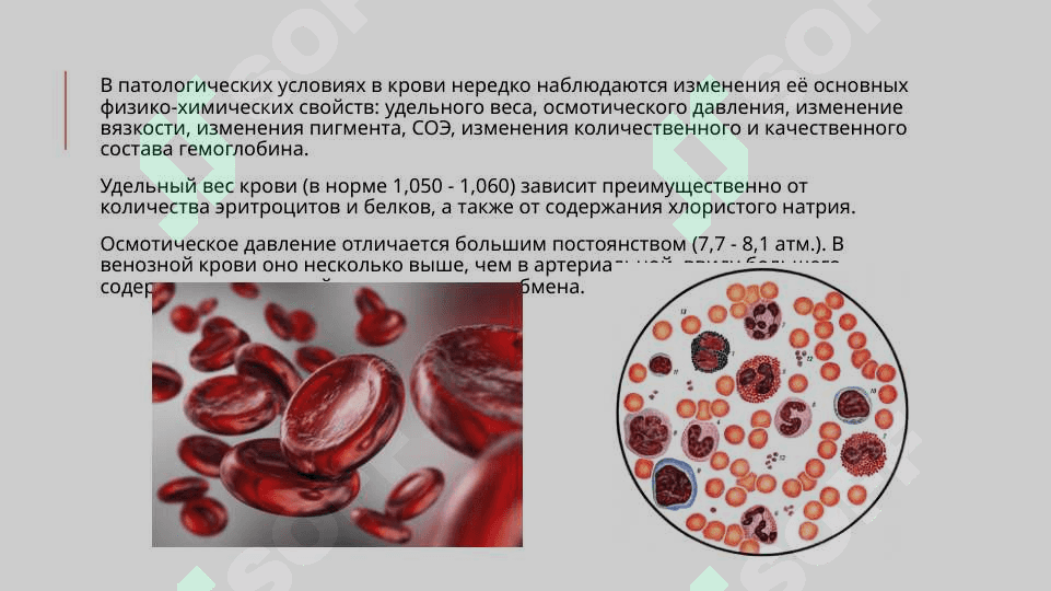физико-химические изменения cвойств крови 2