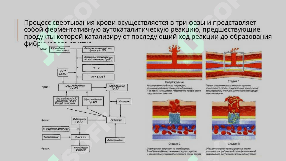 физико-химические изменения cвойств крови 3