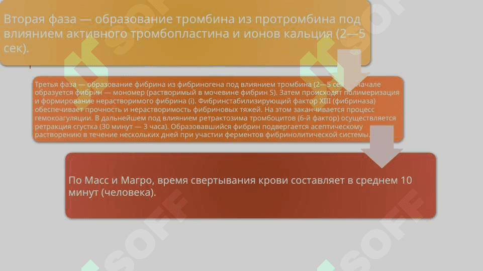 физико-химические изменения cвойств крови 5