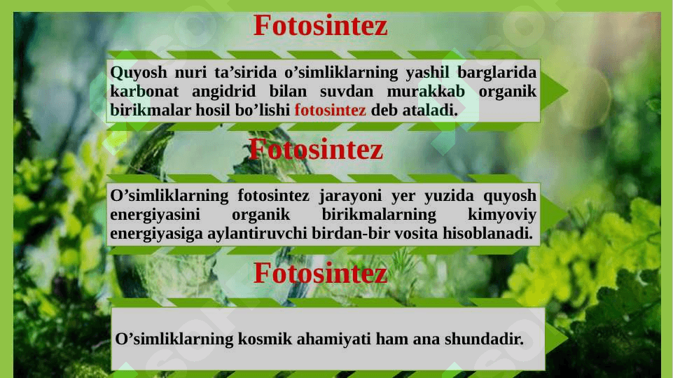 Hujayraning oziqlanish 6