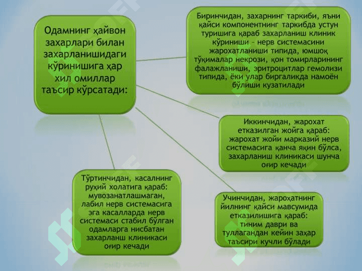 ZAHARLI HAYVONLAR 7