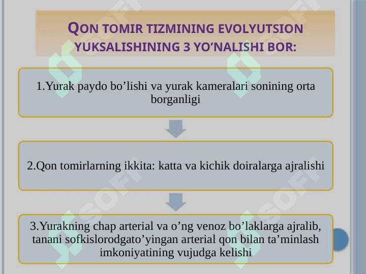 Organlar tizimi ontofilogenezi 4