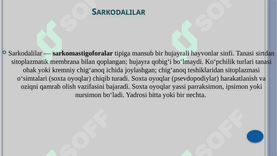 Odamlarda parazitlik qiluvchi sarkodalilar(oğiz,ichak,ichburug’ amyobalari,ichak blantidium) 2