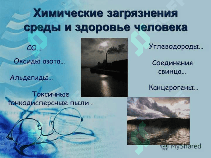 Тема: Человек и окружающая среда 3