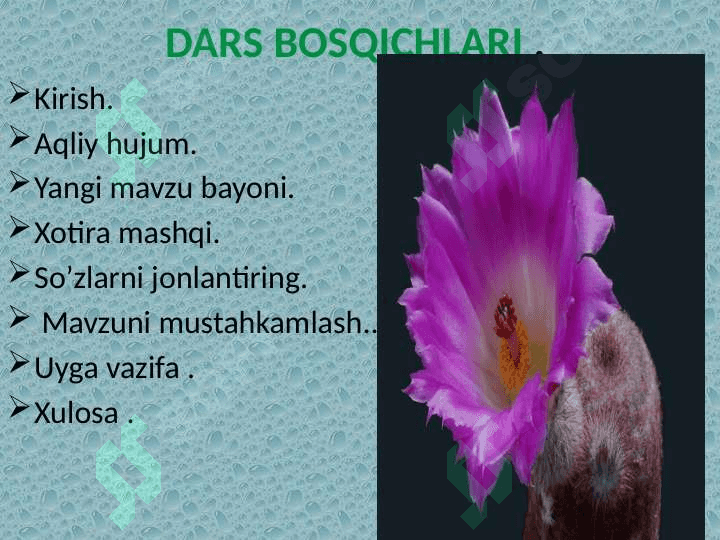 Replikatsiyaning molekulyar asoslari. Rеplikаtsiyaning turlаri. Rеplikаtsiya jаrаyonining o’tishi uchun shаrt bo’lgаn shаrоitlаr. Polemerazalar oilasi 4