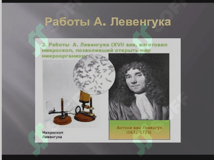 Hujayra biologiyasi. Sitologiyaning rivojlanish bosqichlari. Hujayra ta’limoti. Shvanning hujayra nazariyasi 3