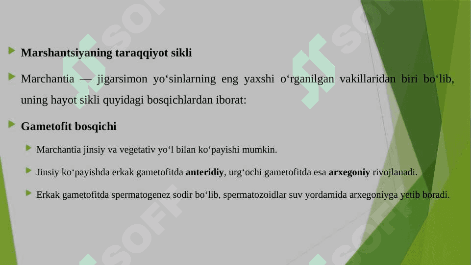 JIGARSIMON YO'SINLAR SINFI ASOSIY BELGILARI MARSHANTSIYANING TARAQQIYOT SIKLI 5