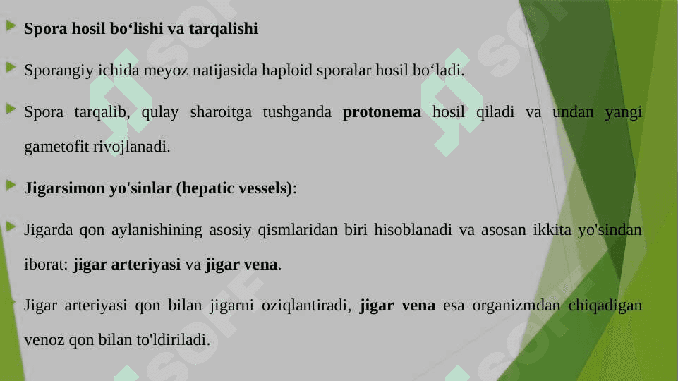JIGARSIMON YO'SINLAR SINFI ASOSIY BELGILARI MARSHANTSIYANING TARAQQIYOT SIKLI 7