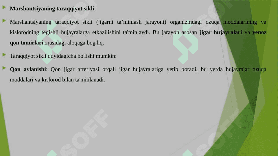 JIGARSIMON YO'SINLAR SINFI ASOSIY BELGILARI MARSHANTSIYANING TARAQQIYOT SIKLI 8