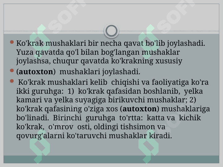 Ko‘krak mushaklari. Diafragma. Ularning yoshga qarab o‘zgarishi. Qorin mushaklari. Qorin to‘g‘ri mushagi qini. Oq chiziqni hosilbo‘lishi. Chov kanali. Ularning yoshga qarab o‘zgarishi 4