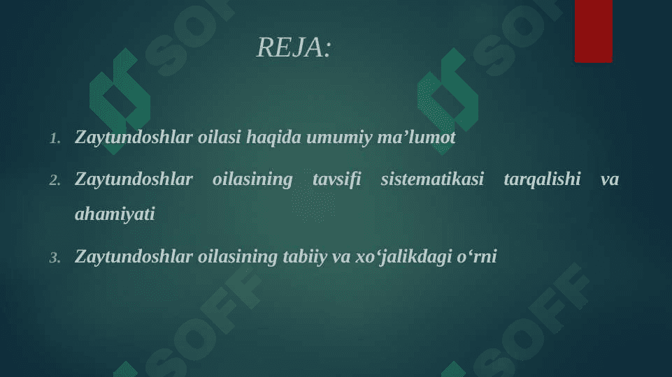 ZAYTUNDOSHLAR OILASI TAVSIFI SISTEMATIKASI TARQALISHI VA AHAMIYATI 2