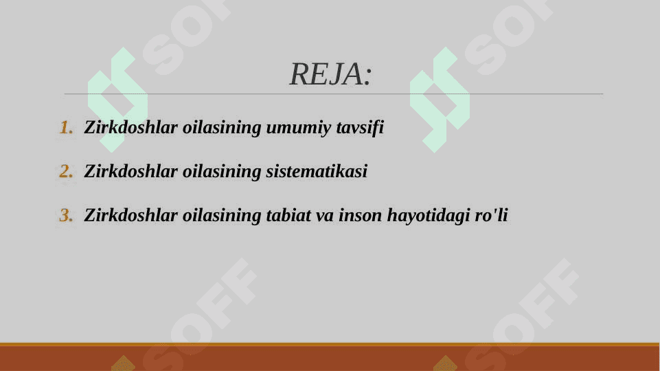 ZIRKDOSHLAR OILASI SISTEMATIKASI, O‘ZIGA XOS BELGILARI, ASOSIY VAKILLARI VA ULARNING XALQ XO‘JALIGIDAGI AHAMIYATI 2