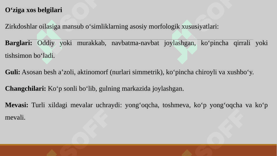 ZIRKDOSHLAR OILASI SISTEMATIKASI, O‘ZIGA XOS BELGILARI, ASOSIY VAKILLARI VA ULARNING XALQ XO‘JALIGIDAGI AHAMIYATI 4