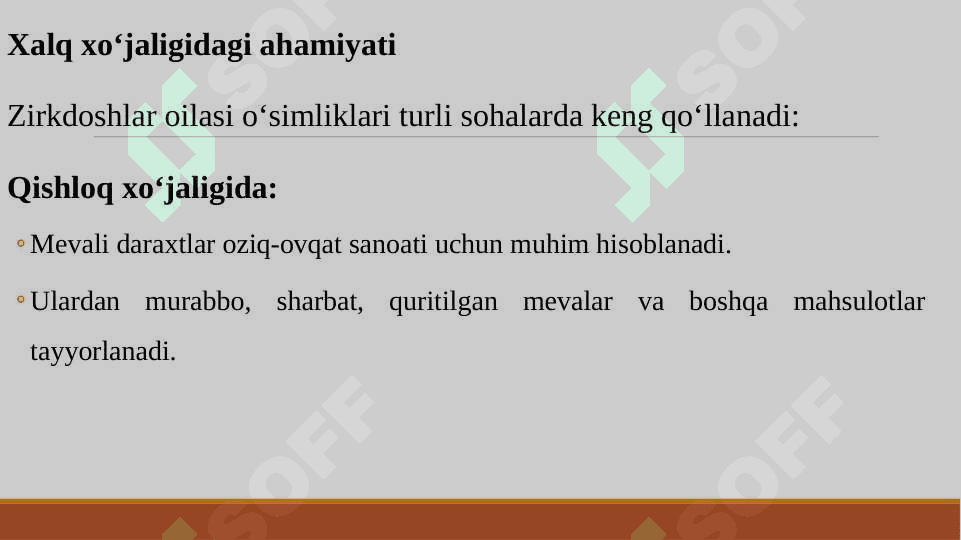 ZIRKDOSHLAR OILASI SISTEMATIKASI, O‘ZIGA XOS BELGILARI, ASOSIY VAKILLARI VA ULARNING XALQ XO‘JALIGIDAGI AHAMIYATI 7