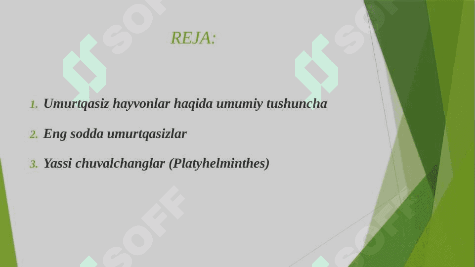 UMURTQASIZ HAYVONLARNI SINFLARI VA ULARGA MANSUB TURLARNING TUZILISHI VA TARQALISHI 2