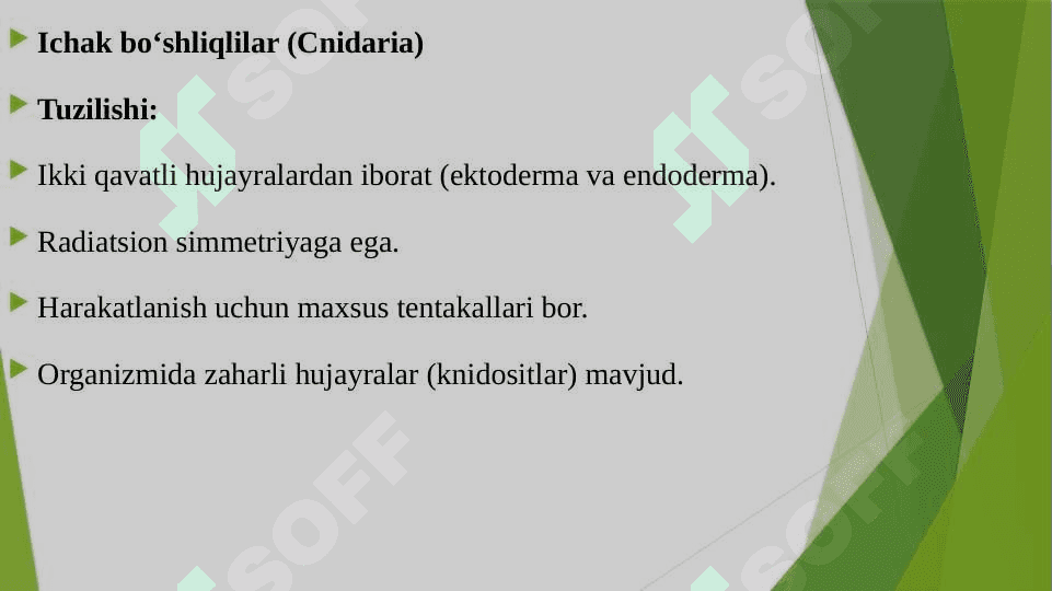UMURTQASIZ HAYVONLARNI SINFLARI VA ULARGA MANSUB TURLARNING TUZILISHI VA TARQALISHI 4