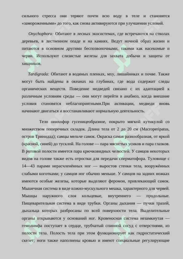 Строение образ жизни и разнообразие типов Onychophora и Tardigrada 4