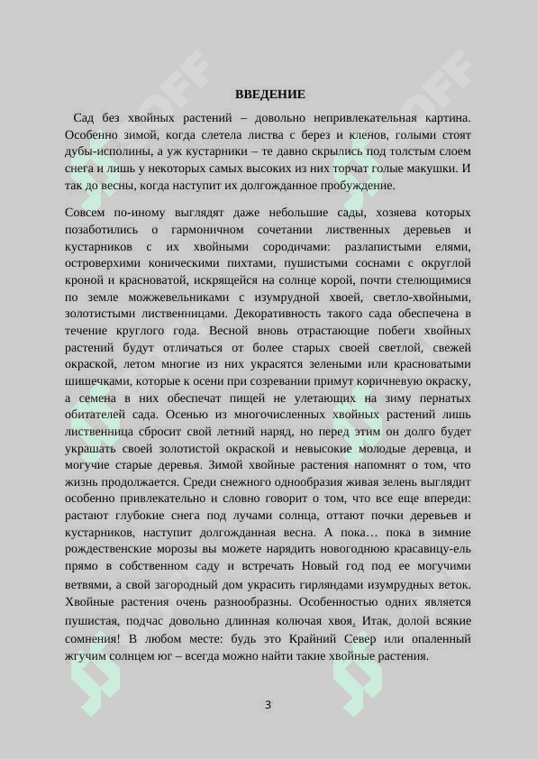Хвойные растения 3