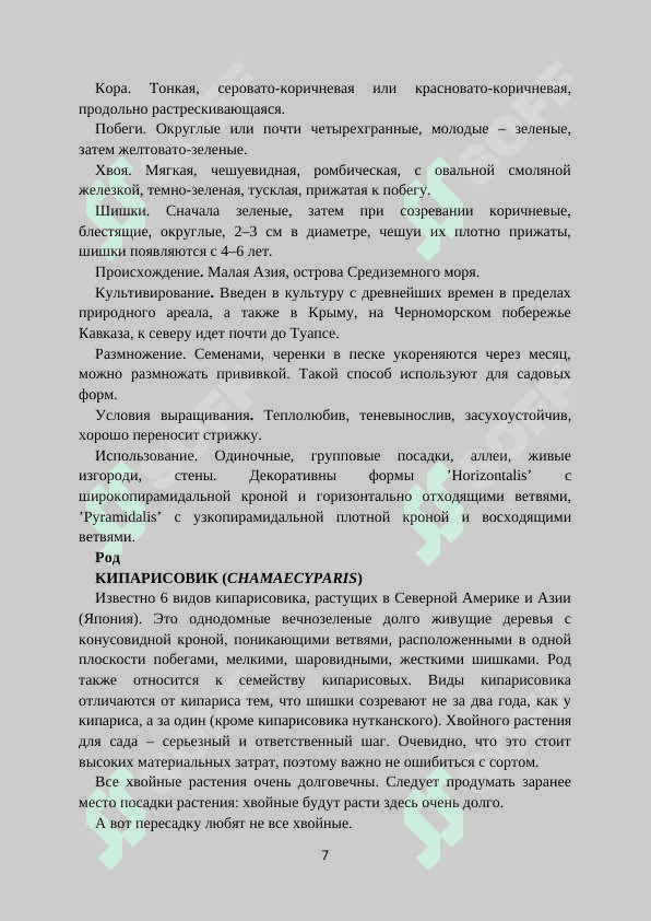 Хвойные растения 7