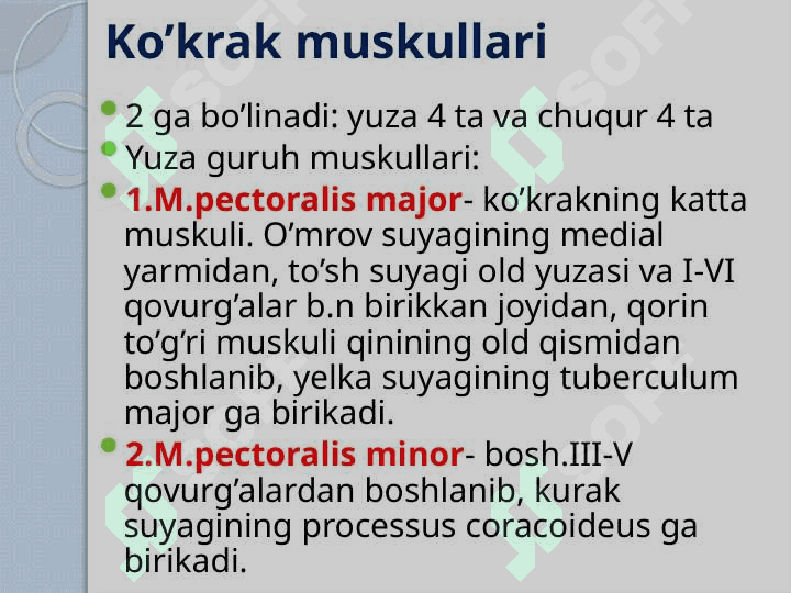 Mushaklar to’g’risida ma’lumot. Ko’krak, qorin, orqa mushaklari va fassiyalari.Diafragma.Qorin sohasining topografiyasi: qorin to’g’ri mushagining qini, oq chiziq, chov kanali 4