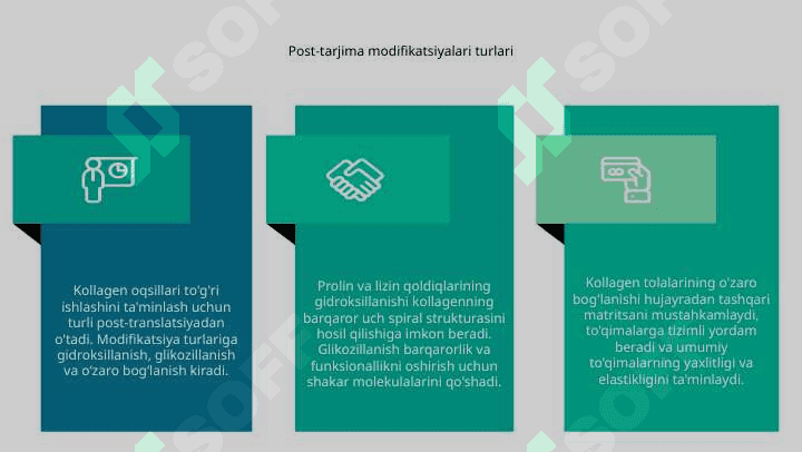 Turli xil oqsillarning translyatsiyadan keyingi modifikatsiyalari 6