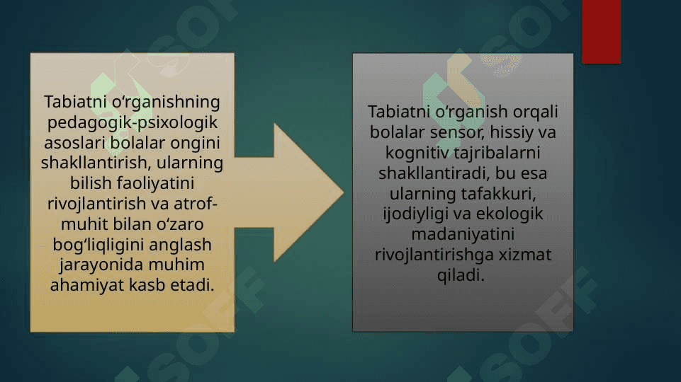 BOLALARNI TABIAT BILAN YER MAYDONCHASINING TA’LIM TARBIYAVIY TANISHTIRIsh AHAMIYATI 2